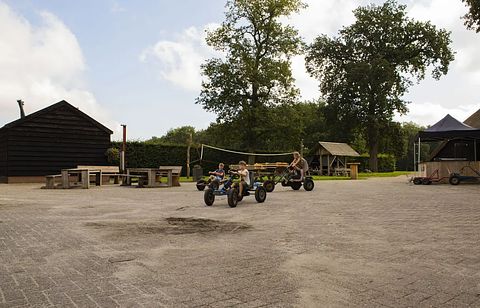 Zurück zu den Wurzeln auf einem Bauernhof am Waldrand - 2