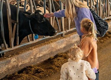 Knusse studio (4p) op Gelderse boerderij - 26