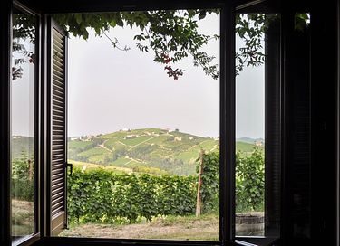 Logement de vacances au milieu des vignobles - 41