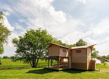 Treehouse tent on height (6p) - 2