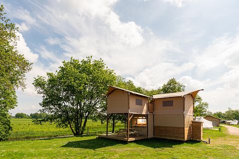 Treehouse tent on height (6p) - 2