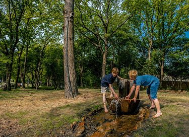 Gemütliche Hütte für 4 Personen im Wald - 10