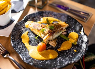 Rolstoeltoegankelijke wellness villa (12p) - 35
