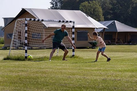 Glamping op veehouderij en akkerbouwboerderij - 2