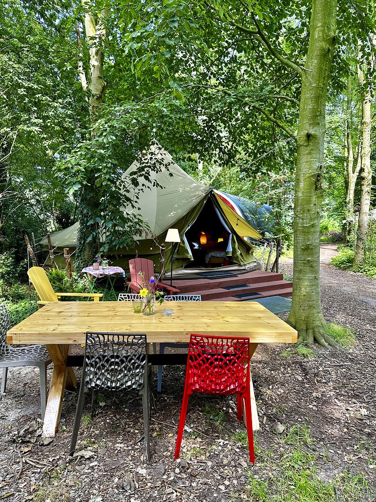 Belltent tussen de bomen vlakbij Groningen - 1