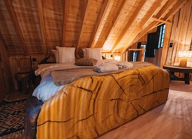 Treelodge avec sauna dans les Ardennes - 19