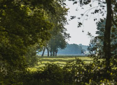 Romantisch overnachten in een herderswagen - 26