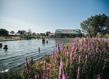 Uniek 4-persoons vakantiehuisje vlakbij zee - 33