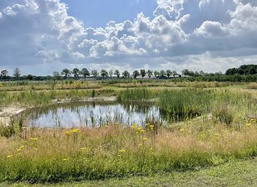 Safari tent on quiet location in Brabant - 22