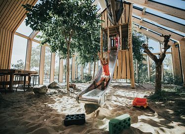 Luxe vakantiewoning omringd door de duinen - 34