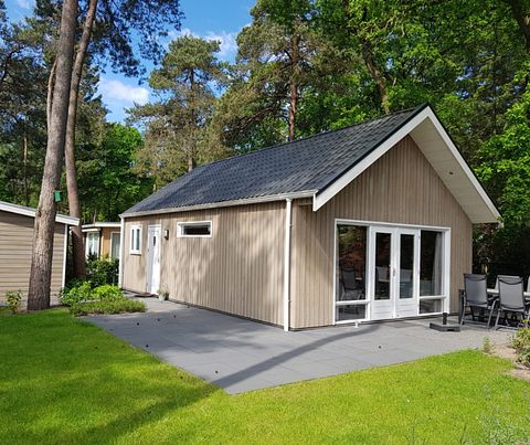 Boslodge op een vakantiepark in Gelderland - 3