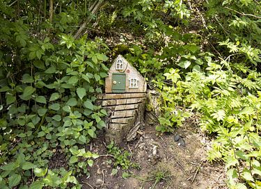 Treehouse in the forest - 29