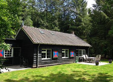 Knus boshuisje midden in de Veluwe - 6