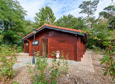 Cabane en rondins robuste avec sauna dans la forêt - 34