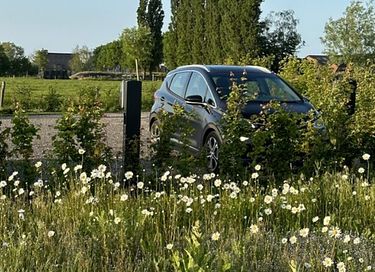 Ecologische lodge in voormalige stal - 18