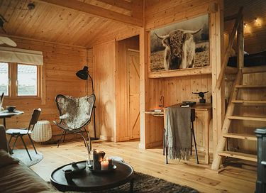 Huis met hottub op de Veluwe direct aan bos - 4