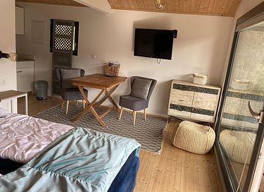 T tiny house in southern Austria - 4