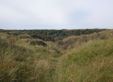 Strandhuisje met vrij uitzicht over zee - 25