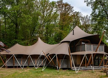 De koning onder de glamping tenten!  - 7