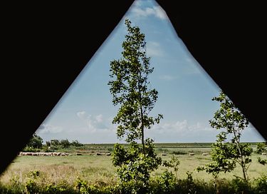Gemütliches Zelt-Häuschen auf Terschelling - 2