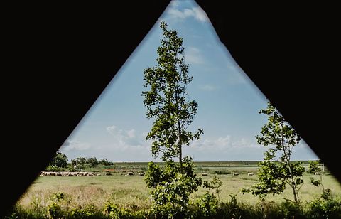 Gemütliches Zelt-Häuschen auf Terschelling - 2