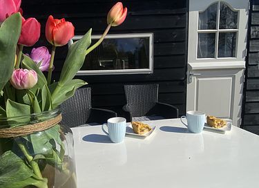 Pipowagen op de Veluwe, nabij heide & bos - 5