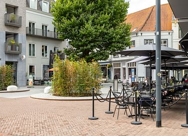 Farbenfrohes Loft mit Palmen in Breda - 42