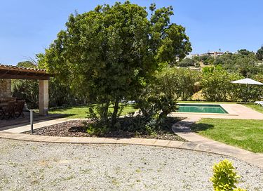 Groen vakantiehuis met veel privacy  - 13