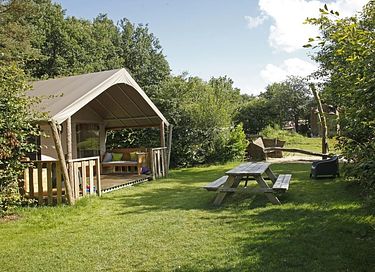 Tente safari (6p) sur un camping boisé en Drenthe - 2