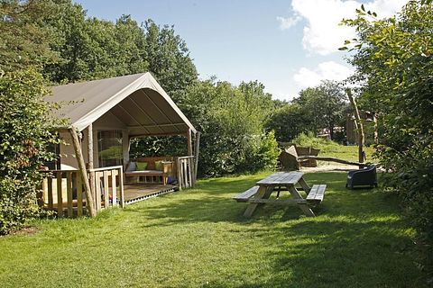 Tente safari (6p) sur un camping boisé en Drenthe - 2