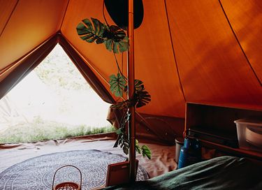 Luxe ingerichte safaritent voor 2-4 personen - 11
