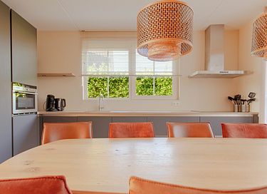 Luxury wellness villa in Friesland - 11