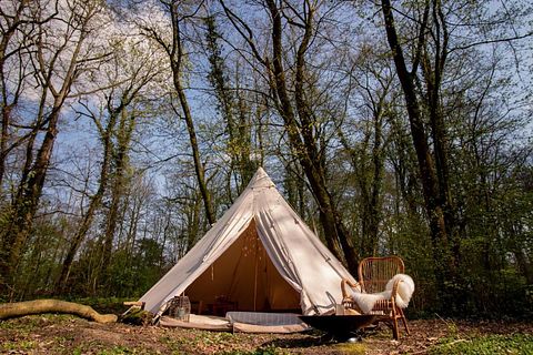 Meditatie en Yoga glamping in het bos - 4