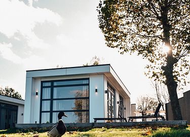 Luxuriöses Ferienhaus direkt am Wasser - 13