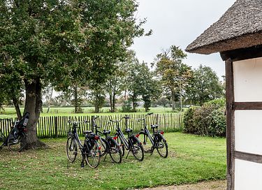 Luxe vakantiehuis in Vlaanderen - 39
