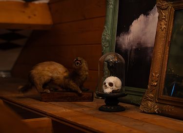 Bijzonder houten huisje tussen de dieren - 27