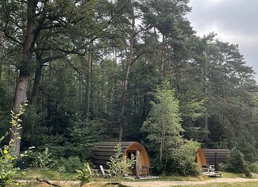 Luxury Pod in the middle of the forest - 13