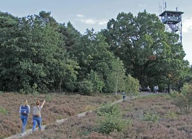 Hébergement spacieux en groupe dans un parc - 46