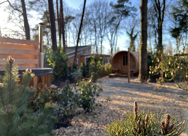 Bungalow con idromassaggio e sauna in Overijssel - 21