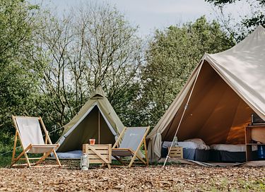 Vakantie in Nederland in 2 luxe tenten - 6