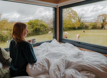 Tiny House zwischen Pferden und Ponys - 8