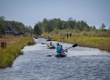 Séjour spécial dans une serre (4p) - 27