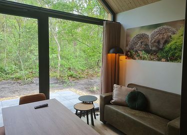 Tiny House voor 4 personen - 3