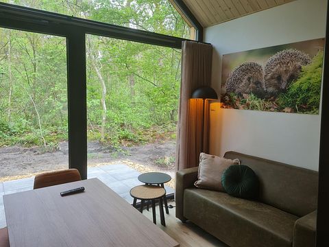 Tiny House voor 4 personen - 3
