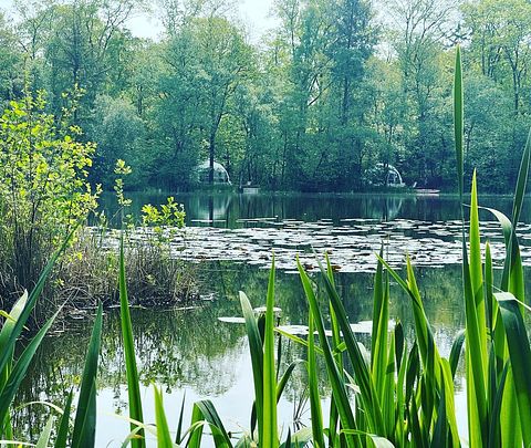 Schönes Kuppelzelt in der Natur und am Wasser - 2
