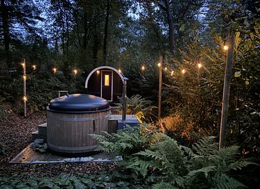 Wellness chalet in bos met sauna en hottub - 3