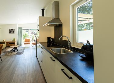 Dog-friendly wellness lodge in the Veluwe region - 5