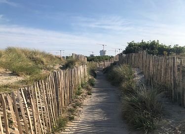 Aan het strand in een historisch ziekenhuis - 25