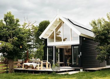 Tiny house in an orchard among sheep