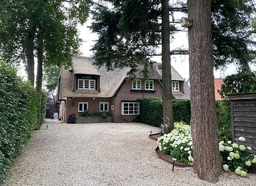 Bosvilla met jacuzzi en unieke zwemvijver - 3
